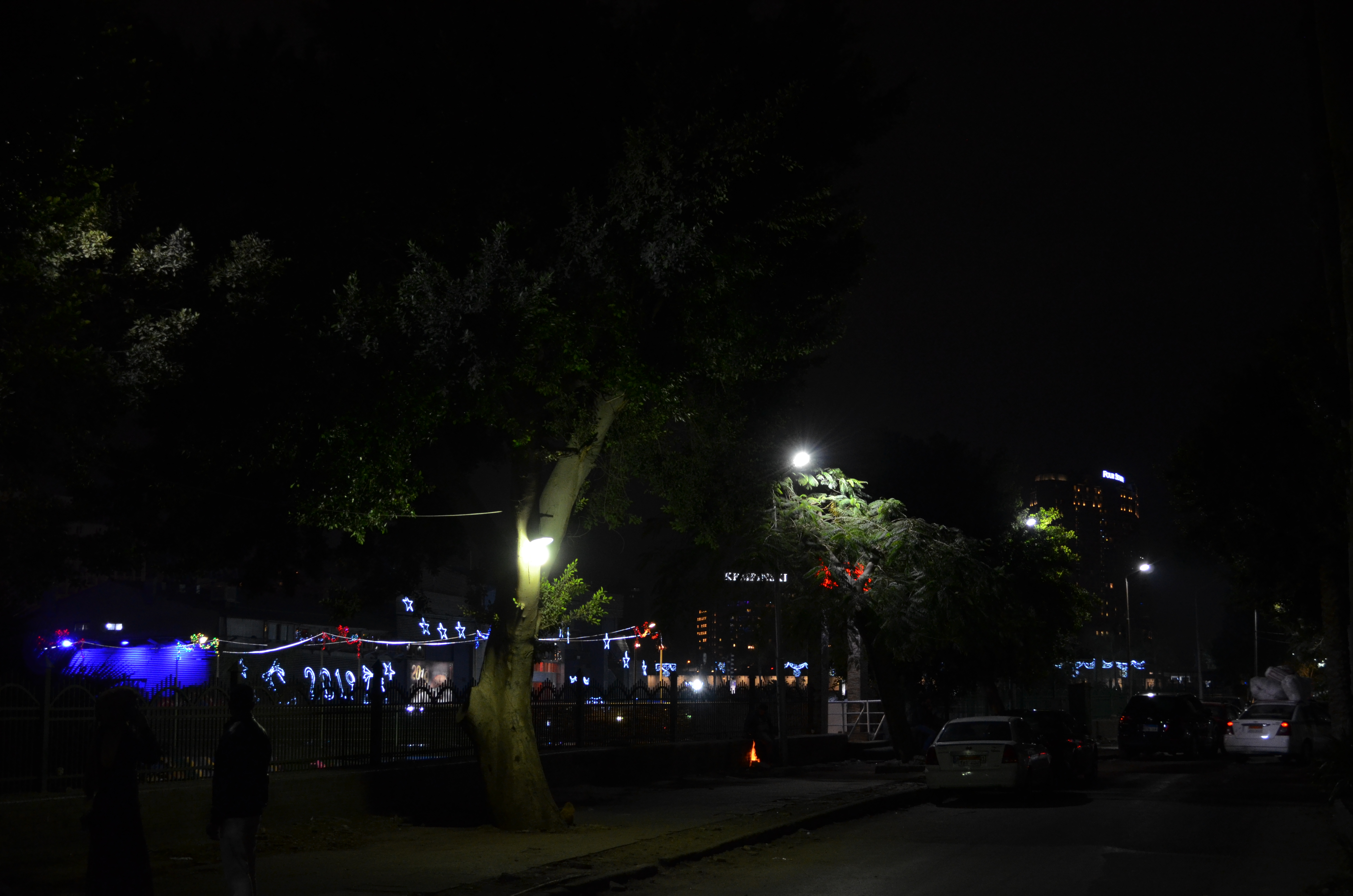 ./2018/16 - Egypt/01 - Cairo Day 2/DSC_0753.JPG